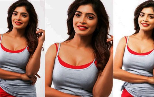 சிவப்பு உடையில் இடுப்பை காட்டி சிலிர்க்க வைக்கும் சிங்காரி சஞ்சிதா ஷெட்டியின் கவர்ச்சி போட்டோஸ்!!