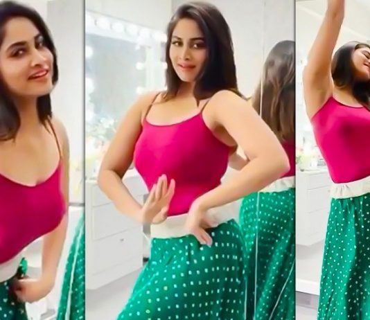 முன்னழகு பின்னழகை காட்டி கிளுகிளு புகைப்படங்களை இறக்கிய ஷிவானி!!