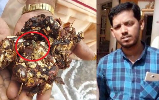 பொங்கல் தொகுப்பில் இறந்து கிடந்த பல்லி… மன உளைச்சலில் தற்கொலை செய்த இளைஞன் : நடந்த விபரீதம்!!
