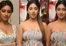 வசீகரிக்கும் அழகில் வாலிப பசங்களை வளைத்த அனு இம்மானுவேல்!!