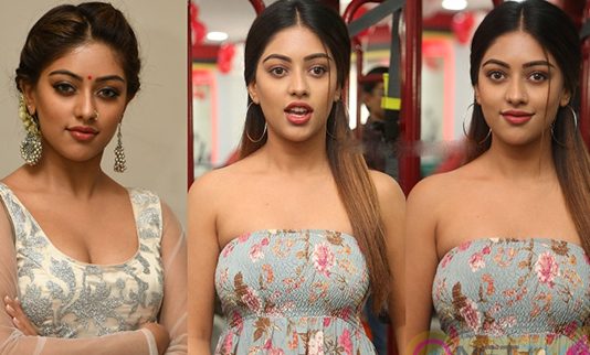 வசீகரிக்கும் அழகில் வாலிப பசங்களை வளைத்த அனு இம்மானுவேல்!!
