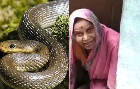 உயிரிழந்த கணவர் மறுபிறவி எடுத்து வந்துவிட்டார்.. நாகப்பாம்புடன் வாழ்ந்த பெண்… அதிர்ச்சி சம்பவம்!!