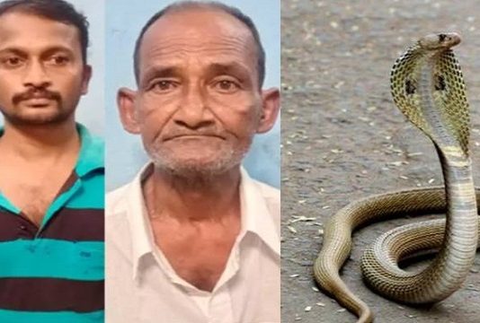 பாம்பு கடித்து மாணவி இறந்த வழக்கில் திருப்பம்…. 78 வயது முதியவ ருக்கு நேர்ந்த விபரீதம்!!