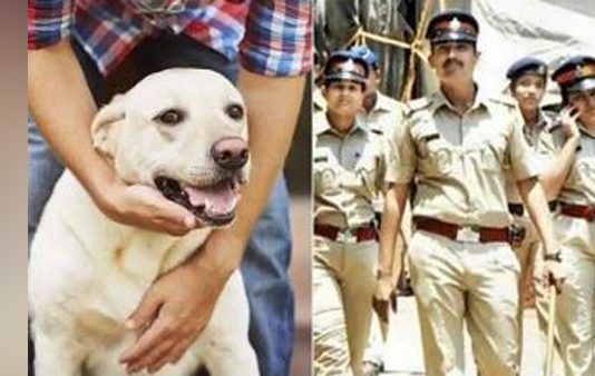 நள்ளிரவில் நாய் ஏன் இப்படி கத்துது… சந்தேகத்தில் வெளியே வந்த ஹவுஸ் ஓனருக்கு காத்திருந்த அதிர்ச்சி!!