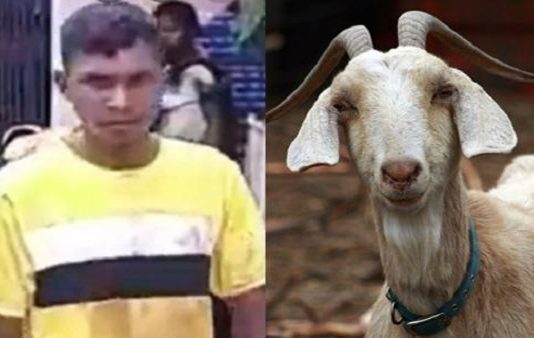 ஆடு அறுக்க வராததால் நண்பனின் தலையை வெட்டி துண்டாக்கிய இளைஞன்!!