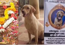 காவல் காத்த செல்லப்பிராணிக்கு கல்லறை கட்டும் காவலர் குடும்பம்… இப்படி ஓர் நன்றிக்கடனா!!
