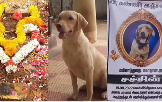 காவல் காத்த செல்லப்பிராணிக்கு கல்லறை கட்டும் காவலர் குடும்பம்… இப்படி ஓர் நன்றிக்கடனா!!