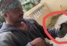 பள்ளி குழந்தை ஷூவில் குடியிருந்த நாக பாம்பு… பெற்றோருக்கு காத்திருந்த அதிர்ச்சி : எச்சரிக்கை செய்தி!!