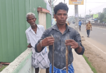 சிறுவனை ஒரே நேரத்தில் கடித்த 2 பாம்புகள்… துணிச்சலாக செயற்பட்ட தந்தை செய்த செயல்!!