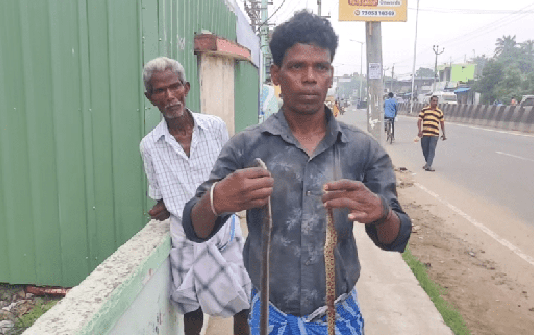 சிறுவனை ஒரே நேரத்தில் கடித்த 2 பாம்புகள்… துணிச்சலாக செயற்பட்ட தந்தை செய்த செயல்!!