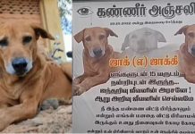 15 வருடம் நன்றியுடன் இருந்த ஐந்தறிவு செல்லப்பிராணிக்கு பதாகை வைத்து அஞ்சலி : நெகிழ்ச்சி சம்பவம்!!