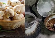 காளான் சமைத்துச் சாப்பிட்ட தந்தை, மகன் பரிதாபமாக பலி : எச்சரிக்கை செய்தி!!