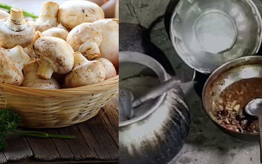காளான் சமைத்துச் சாப்பிட்ட தந்தை, மகன் பரிதாபமாக பலி : எச்சரிக்கை செய்தி!!