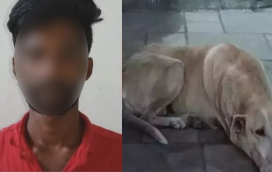 நாயுடன் வல்லுறவு… வீடியோ வெளியாகியதால் 28 வயது டெலிவரி இளைஞனுக்கு நேர்ந்த விபரீதம்!!
