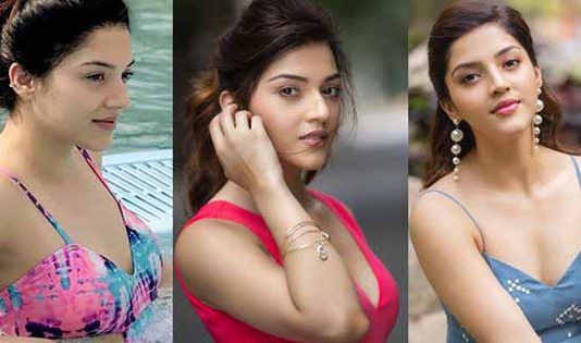 நீச்சல் உடையில் புகைப்படங்களை வெளியிட்டு ரசிகர்களை சூடாக்கிய நடிகை மெஹரீன்!!