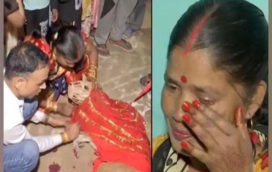 நாய்களுக்கு ஆடம்பரமாக நடந்த திருமணம் : கண்ணீர் சிந்திய உரிமையாளர்!!