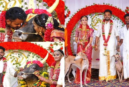 தங்கையின் திருமணத்திற்கு வித்தியாசமாக சீதனம் கொடுத்து அசத்திய அண்ணன் : அப்படி என்ன கொடுத்தார் தெரியுமா?
