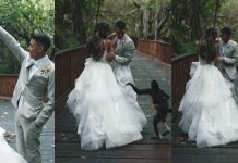 ரொமான்டிக்கா போஸ் கொடுத்த மாப்பிள்ளை… உள்ளே வந்த குரங்கு.. பின்னர் நடந்த சம்பவம்!!