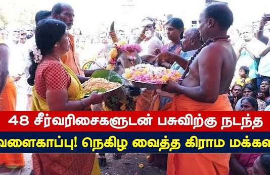 48 சீர்வரிசைகளுடன் பசுவிற்கு நடந்த வளைகாப்பு.. நெகிழ வைத்த கிராம மக்கள்!!