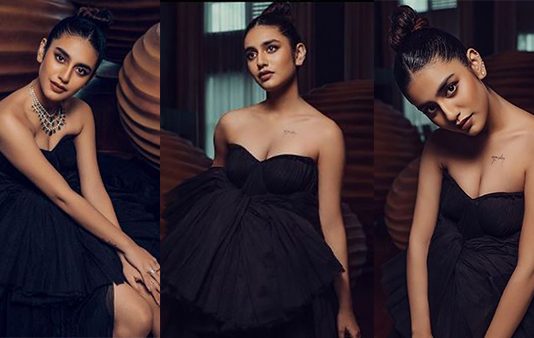 பாலிஷ் போட்ட தேக்கு… ஹாட் போஸ் கொடுத்து மூச்சு முட்ட வைத்த பிரியா பிரகாஷ் வாரியர்!!