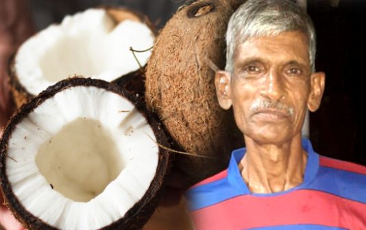 28 ஆண்டுகளாக தேங்காயை மட்டுமே உண்டு வாழும் மனிதன் : நிஜமாக இது சாத்தியமா?