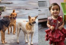 நடுவீதியில் 18 மாத குழந்தைக்கு நேர்ந்த சோகம்.. கதறி துடித்த பெற்றோர்!!