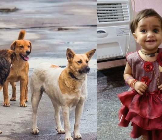 நடுவீதியில் 18 மாத குழந்தைக்கு நேர்ந்த சோகம்.. கதறி துடித்த பெற்றோர்!!
