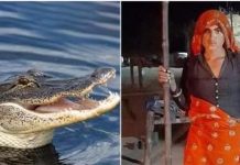 கணவன் உயிரை காப்பாற்ற முதலையின் கண்ணில் குச்சியை விட்டு ஆட்டிய சிங்கப் பெண் : நடந்தது என்ன?