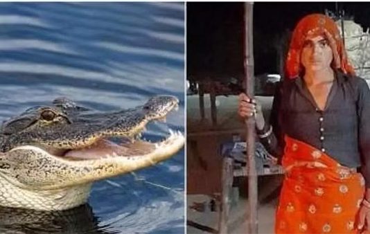 கணவன் உயிரை காப்பாற்ற முதலையின் கண்ணில் குச்சியை விட்டு ஆட்டிய சிங்கப் பெண் : நடந்தது என்ன?