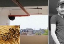 விடாமல் துரத்திய தேனீ.. பயந்து ஓடிய வாலிபர் உடல் சிதறி பலி : மனைவிக்கு பிரசவம் பார்க்க வந்த இடத்தில் சோகம்!!