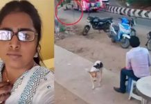 பேருந்தில் இருந்து தவறி விழுந்து இளம்பெண் பலி : வெளியான பகீர் சிசிடிவி காட்சிகள்!!