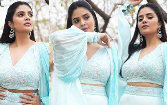 முன்னழகு வளைவு நெளிவுகளை காட்டி கிறங்கடித்த ஸ்ரீமுகி!!