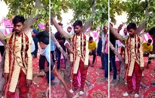 மணமகனை மரத்தில் கட்டி வைத்து உதைத்த பெண் வீட்டார் : வைரல் வீடியோ!!