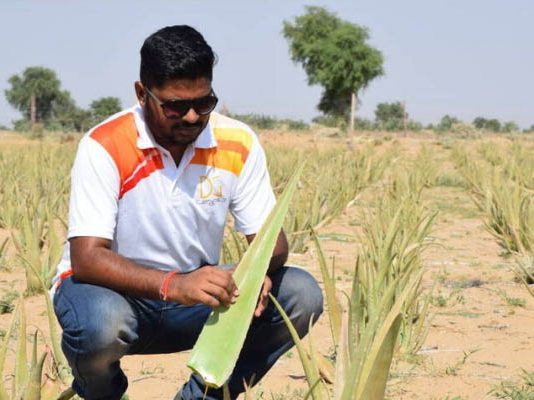அரசு வேலை வேண்டாம்.. கற்றாழை விவசாயியாக மாறிய பொறியாளர் : கோடிக்கணக்கில் வருமானம்!!