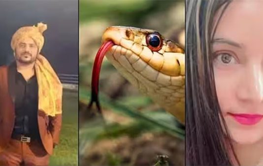 யூடியூப்பில் கிரைம் நிகழ்ச்சிகளை பார்த்து நல்ல பாம்பை கடிக்க வைத்து கொன்ற காதலி.. புது காதலனுடன் எஸ்கேப்!!