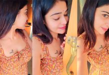 இளசுகளை மயக்கமடையச் செய்த தர்ஷா குப்தா ஹாட் போட்டோஸ்!!