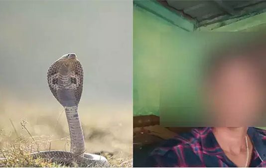 9 முறை பாம்பு கடித்து உயிர் பிழைத்த மாணவன்.. ஆச்சர்ய தகவல்!!
