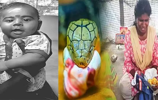 தாய் கண் முன்னே குழந்தையை கொன்ற பாம்பு : கதறும் தாய்!!