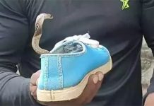 பெற்றோர்களே உஷார்.. கல்லூரி மாணவி ஷூவுக்குள் இருந்த நல்ல பாம்பு.. நடந்த விபரீதம்!!