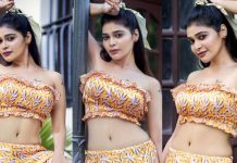 அரை குறை உடையில் உச்கட்ட கவர்ச்சி காட்டிய நடிகை தர்ஷா குப்தா!!