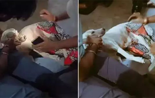 நாயிடம் பாலியல் அத்துமீறல்.. கொடூர இளைஞரை கைது செய்த போலீசார்… பகீர் வீடியோ!!