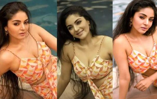 வர வர கவர்ச்சி ஏறிட்டே போகுது.. சனம் ஷெட்டியின் லேட்டஸ்ட் ஹாட் புகைப்படங்கள்!!