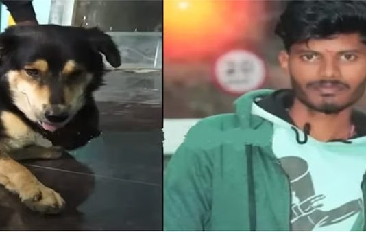 குறுக்கே வந்த நாய்.. விபத்தில் உயிரிழந்த இளைஞர்: வீட்டுக்கே சென்று கண்ணீருடன் மன்னிப்பு கேட்ட நாய்!!