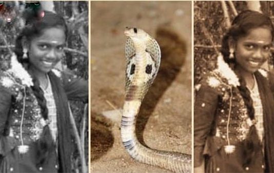 பாம்பு கடித்து பரிதாபமாக உயிரிழந்த பள்ளி மாணவி.. சோகத்தை ஏற்படுத்திய சம்பவம்!!