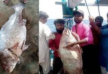 மீன் பிடிக்க சென்ற நபர்.. ஒரே இரவில் கோடீஸ்வரர் ஆன அதிசயம்!!