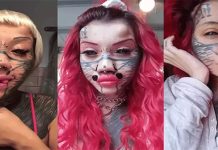 உடலில் மாற்றங்களைச் செய்து மனித பூனையாக உருமாறிய இளம்பெண்!!