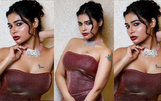 இடையழகை காட்டி இளசுகளை திக்குமுக்காட செய்த தர்ஷா குப்தா!!