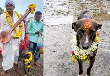யாத்திரை சென்ற இடத்தில் தொலைந்த வளர்ப்பு நாய்… 4 நாட்களுக்கு பிறகு வந்து சேர்ந்த அதிசயம்!!