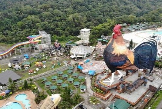 கோழி வடிவத்தில் பிரம்மாண்ட கட்டிடம் : உலக கின்னஸ் சாதனையில் இடம் பிடித்த ஹோட்டல்!!