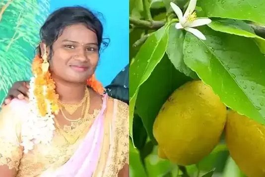இரும்பு கம்பியால் எலுமிச்சை பழம் பறித்த இளம்பெண் பலியான சோகம்!!